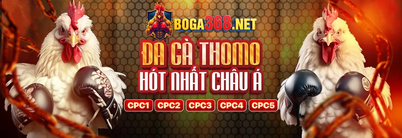 Điều Khoản Dịch Vụ 678bet Login